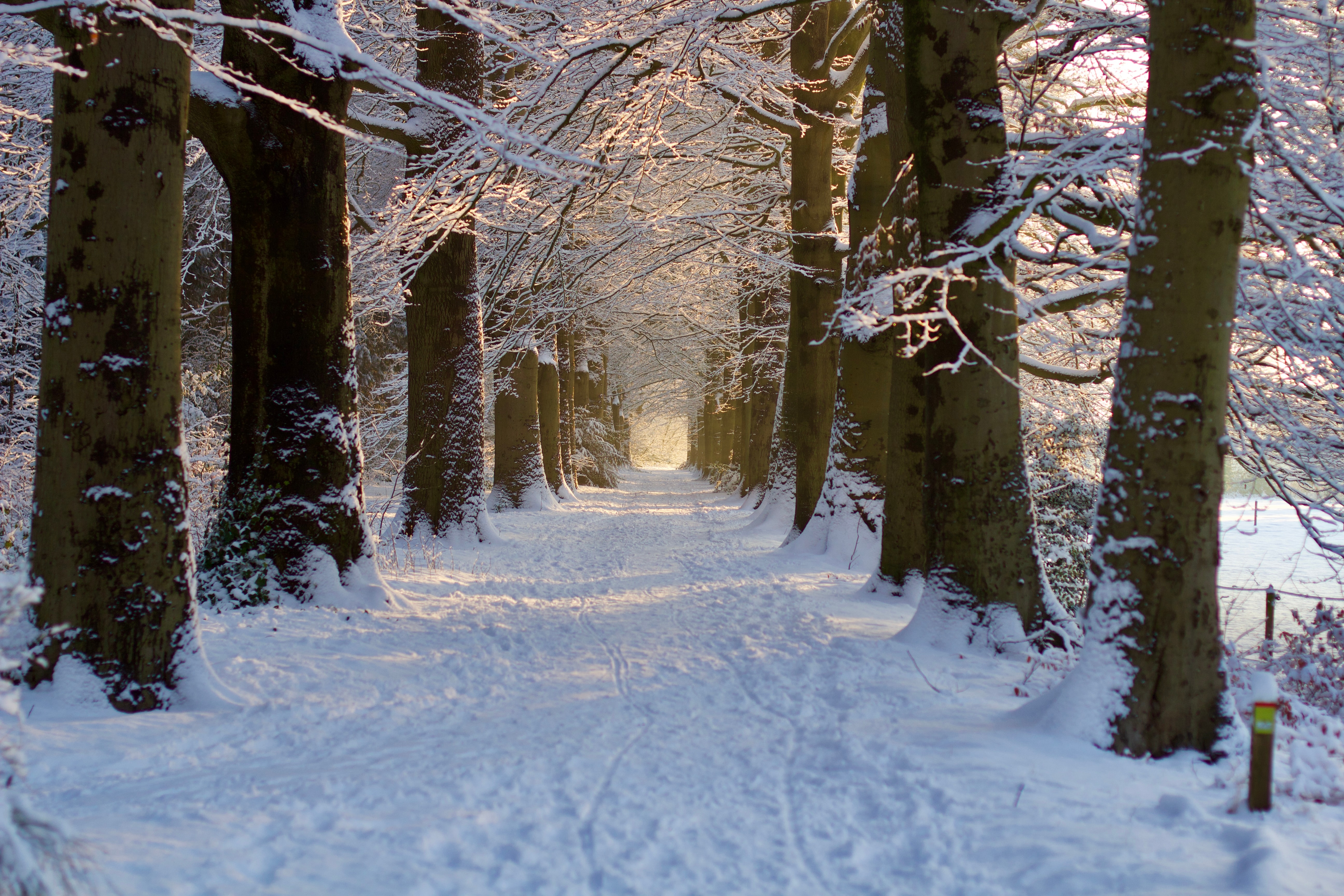 Bilthoven, Netherlands