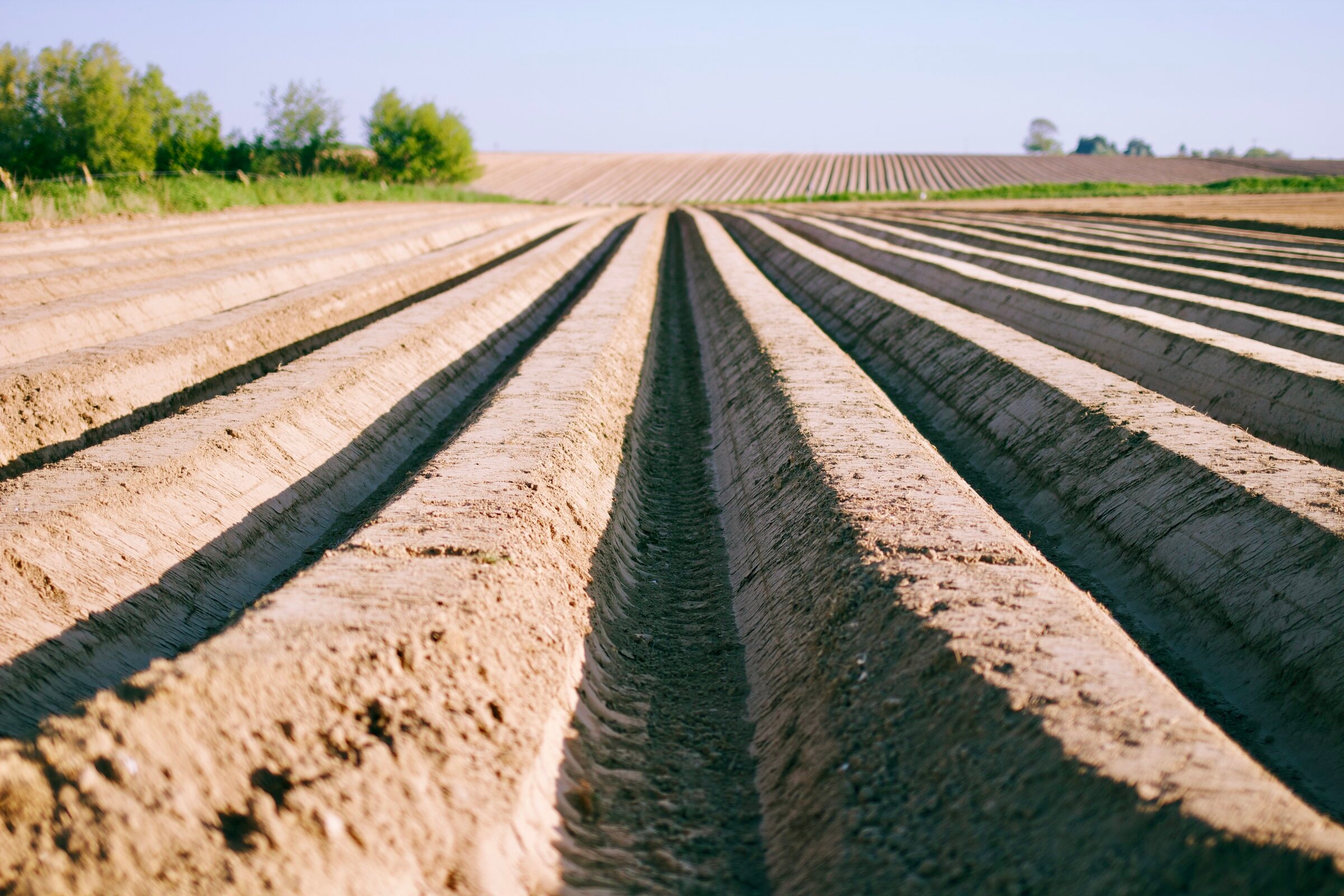 Saint Pierre en Port, France